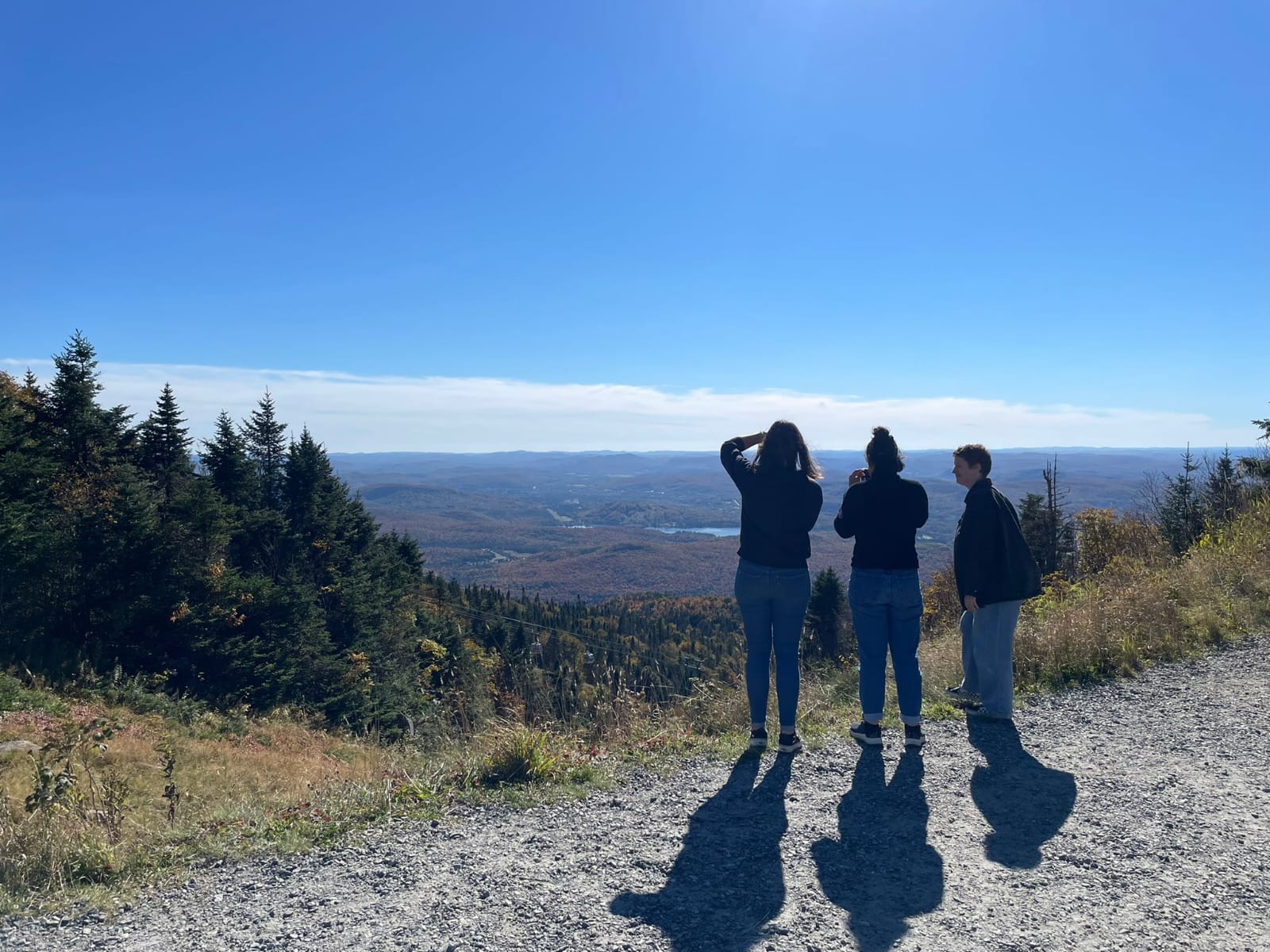 panorama